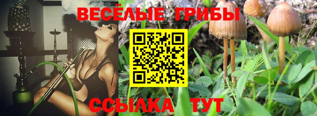 купить наркотики сайты  Галлюциногенные грибы MAGIC MUSHROOMS  Вход с VPN  Нижневартовск  Псилоцибиновые грибы мухоморы 